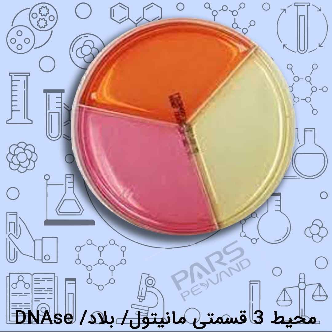 محیط سه قسمتی مانیتول8/cm Dnase/A.Bزیست رویش